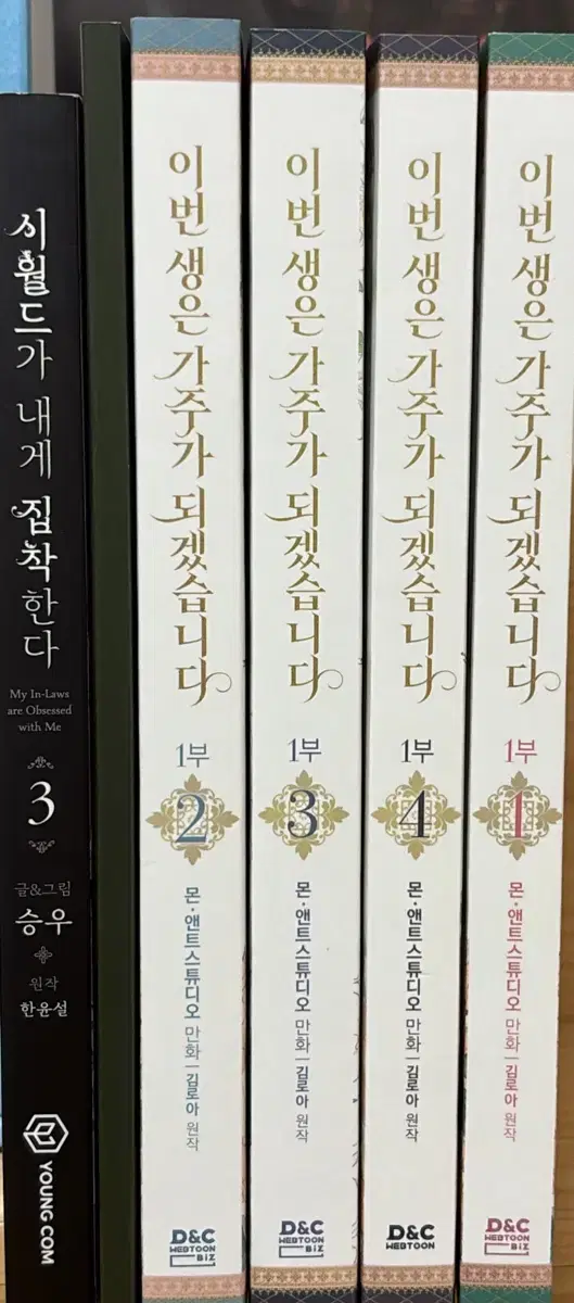 이번 생은 가주가 되겠습니다&시월드가 내게 집착한다 단행본